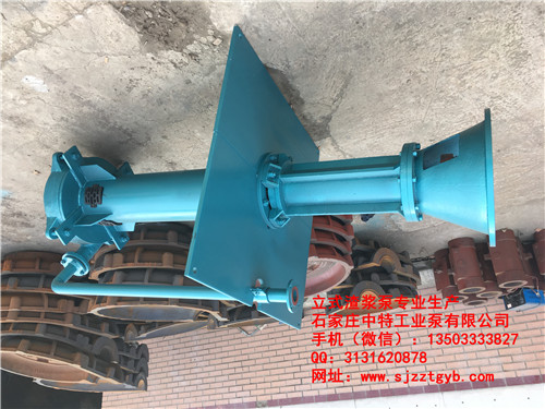 ZJL立式渣漿泵.jpg ZJL立式渣漿泵.jpg